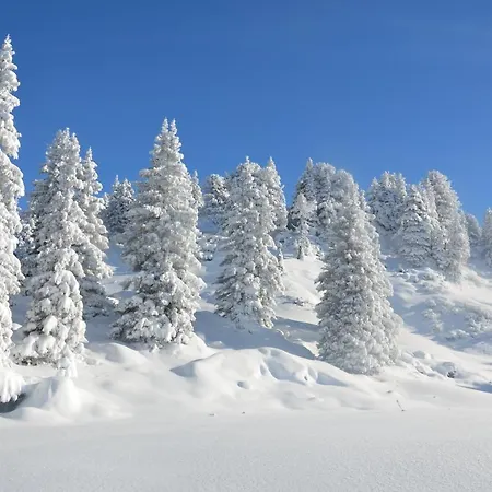 Natur