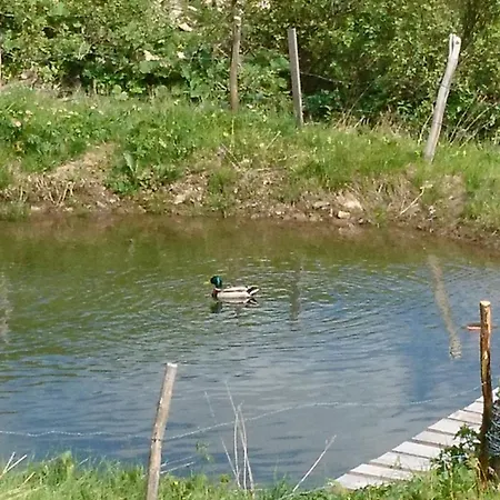 게스트하우스 Natur 3*