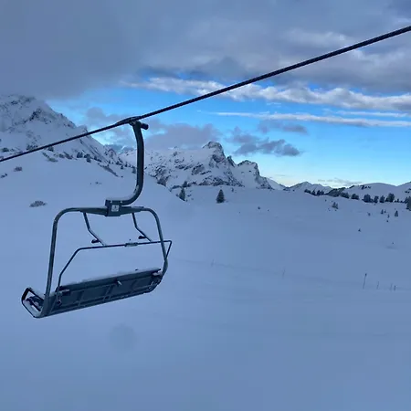 Natur 게스트하우스