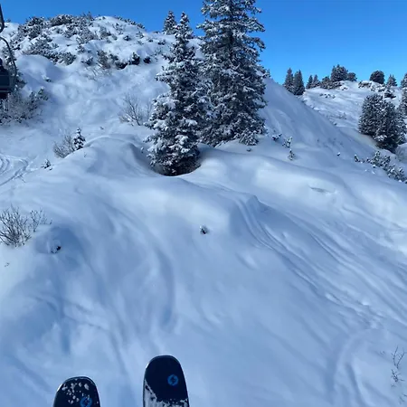 Natur Gasthof Schröcken